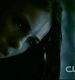 TVD1045.jpg
