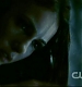 TVD1046.jpg