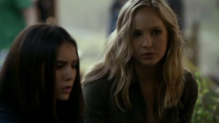 TVD_155.JPG