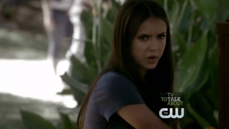 TVD_178.JPG