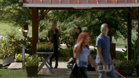 TVD_181.JPG