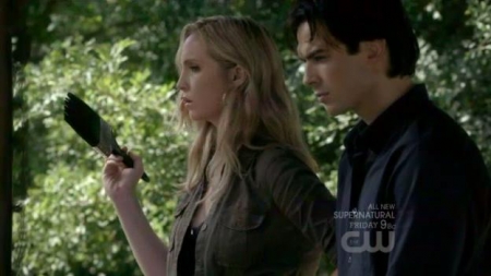 TVD_201.JPG