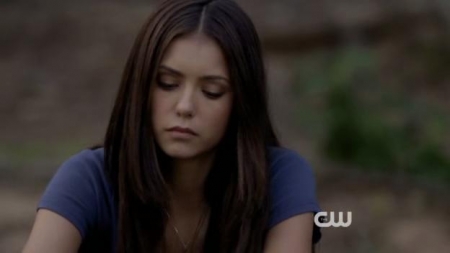 TVD_222.JPG