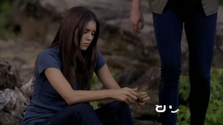 TVD_227.JPG