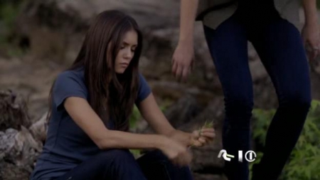TVD_228.JPG