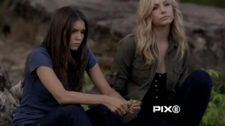 TVD_229.JPG
