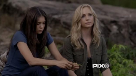TVD_231.JPG