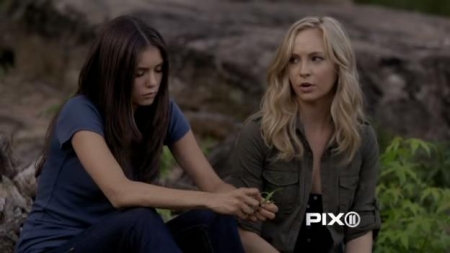 TVD_232.JPG