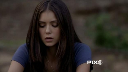 TVD_233.JPG