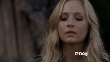 TVD_236.JPG