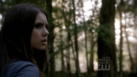 TVD_273.JPG