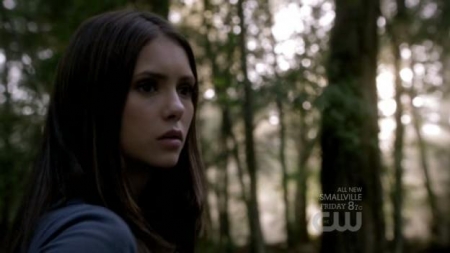 TVD_274.JPG