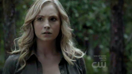 TVD_278.JPG