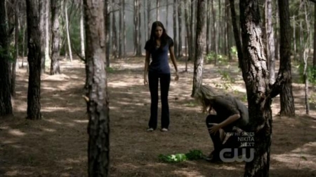 TVD_283.JPG