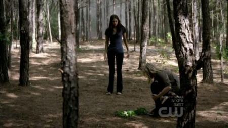 TVD_284.JPG