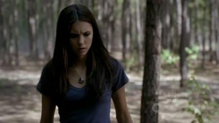 TVD_285.JPG