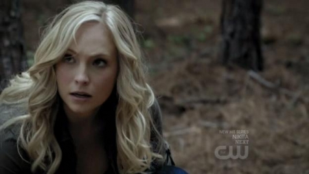 TVD_288.JPG