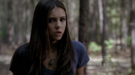 TVD_291.JPG