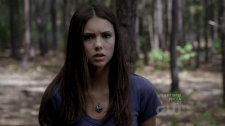 TVD_292.JPG