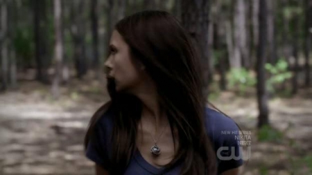 TVD_293.JPG