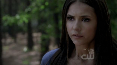 TVD_295.JPG