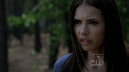 TVD_300.JPG