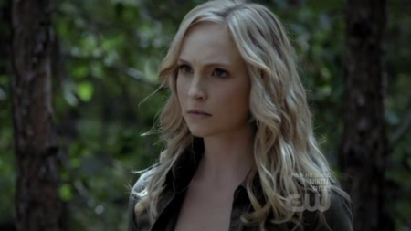 TVD_307.JPG