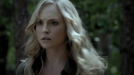 TVD_309.JPG