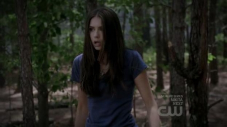 TVD_317.JPG