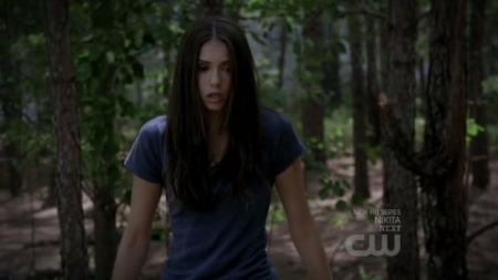 TVD_319.JPG