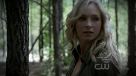 TVD_320.JPG