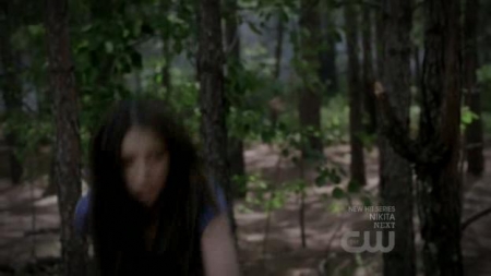 TVD_321.JPG