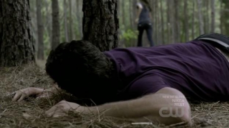 TVD_322.JPG