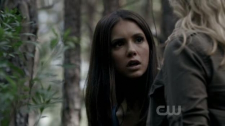 TVD_324.JPG