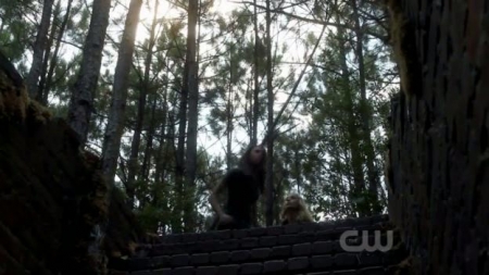 TVD_325.JPG