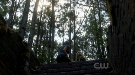 TVD_326.JPG