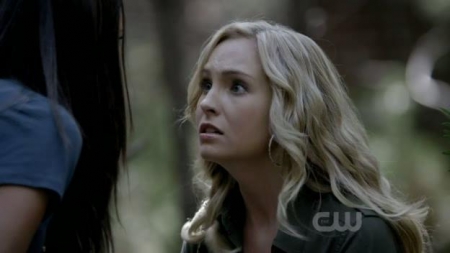TVD_329.JPG