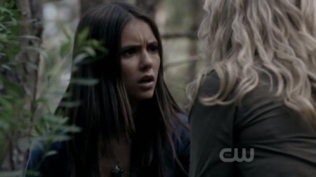 TVD_330.JPG