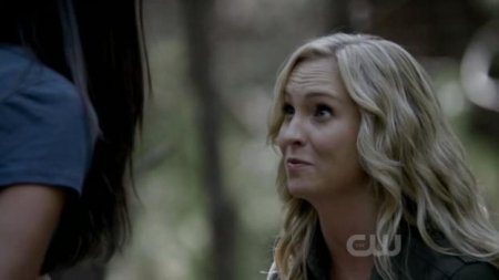 TVD_332.JPG