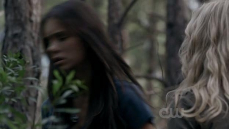 TVD_334.JPG