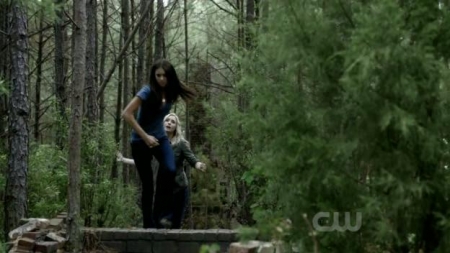 TVD_335.JPG