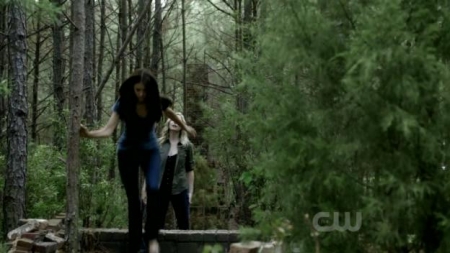 TVD_336.JPG