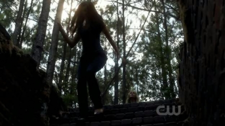 TVD_337.JPG
