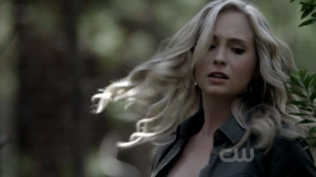 TVD_339.JPG