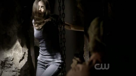 TVD_342.JPG