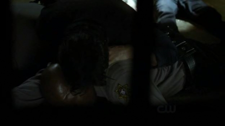 TVD_365.JPG