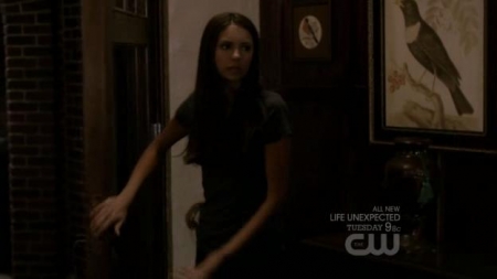TVD_390.JPG