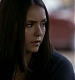 TVD_169.JPG