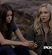 TVD_232.JPG