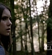 TVD_273.JPG